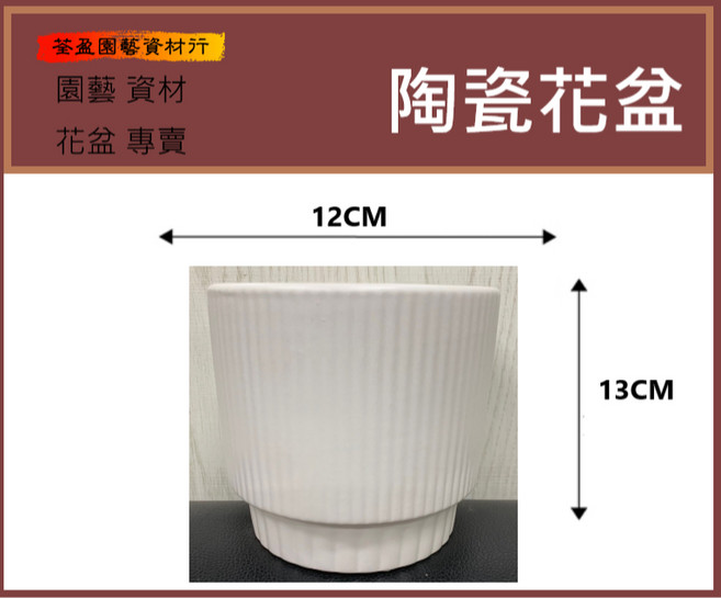 直紋 白色 質感 陶瓷花盆 蘭花盆 多肉盆, 詳見包裝, 詳見包裝