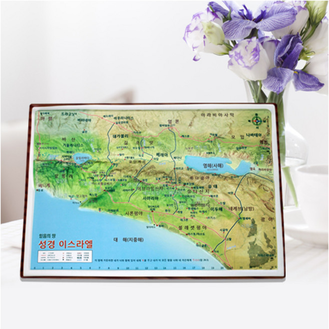 이스라엘 입체지도 / 성경공부 성경지도 교회학교, 1개