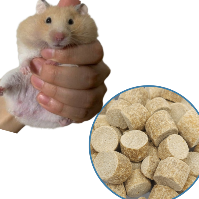 햄스터 간식 퓨리나 익스, 250g, 1개