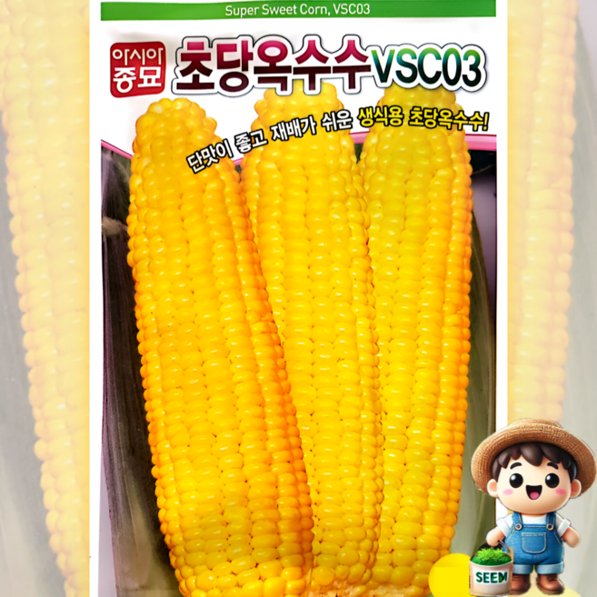 아시아종묘 초당옥수수 70립 초당 생식 굵은 옥수수 채소 씨앗 종자 아시아종묘, 1개