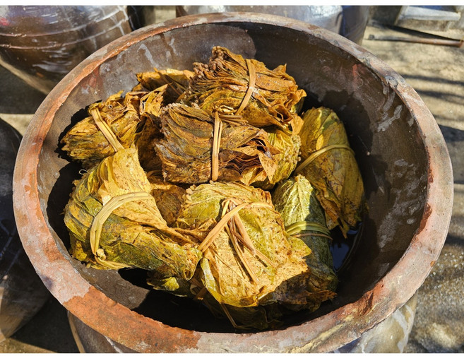 삭힌 단풍콩잎 250g, 3개