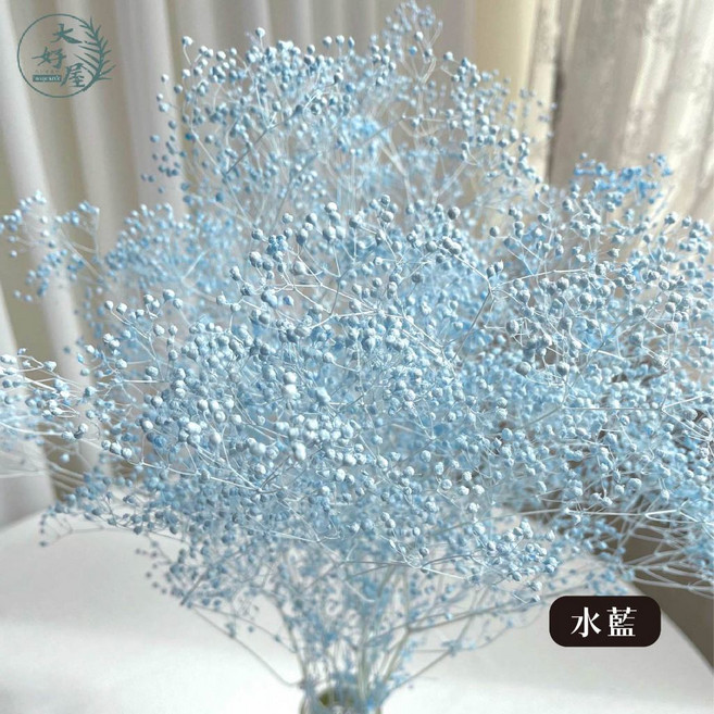 大好屋 迷你滿天星 百萬星 永生花乾燥花 花藝配花 室內裝飾, 百萬星, 水藍