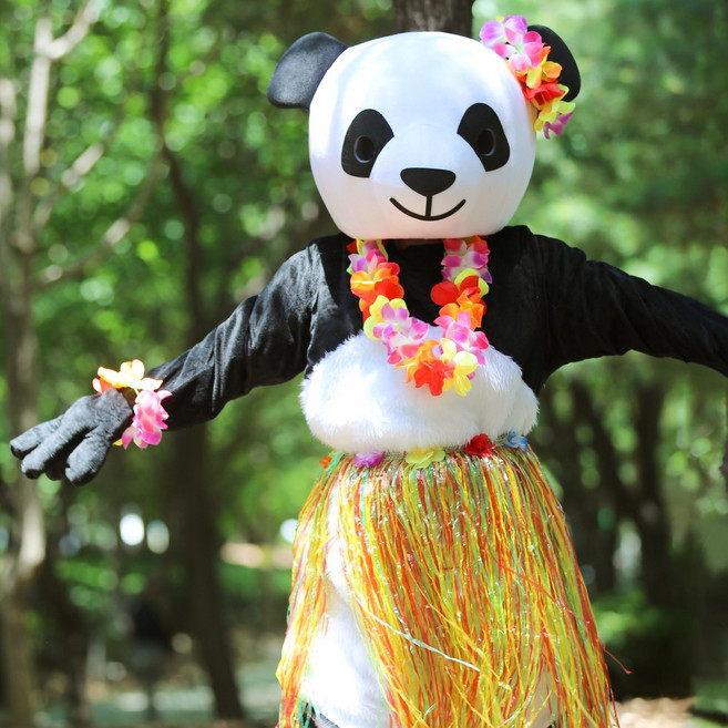 하와이안 4종 세트 (칼라) 훌라스커트 목걸이 화관 팔찌, 단품, 단품