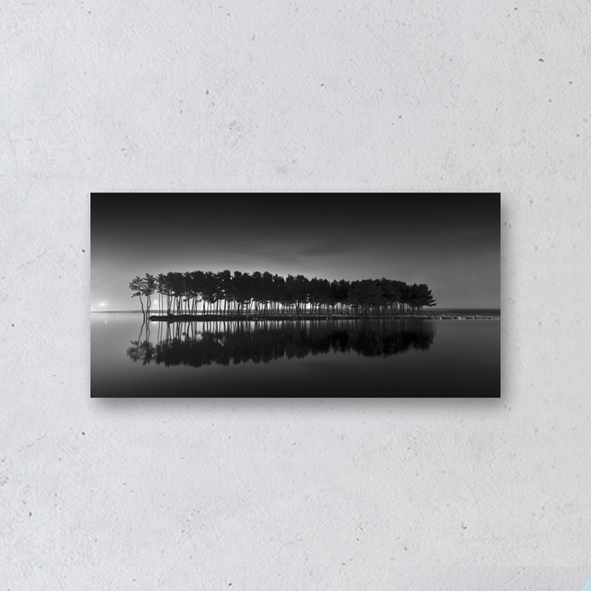 나에게 다가온 소나무 7(삼척 월천리 솔섬) 김현 (루나섹사진액자), 100X50cm, 루나섹