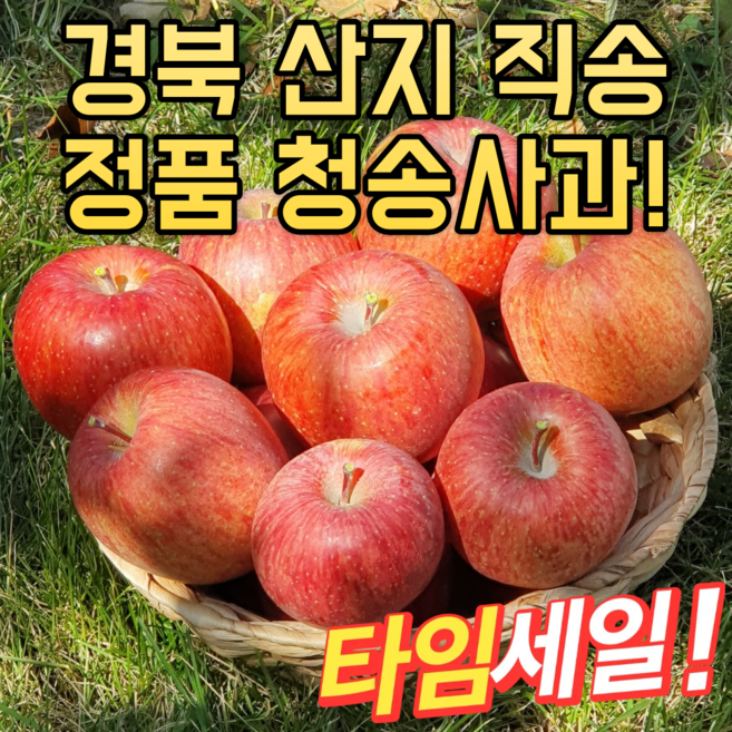 산지직송 청송사과 정품 사과의여왕 꿀부사, 1박스, 꼬마과 10kg