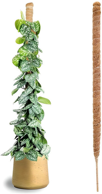미화부장 몬스테라 슬림 수태봉 구부러지는 와이어 긴 얇은 넝쿨 식물지지대, 120cm, 1개