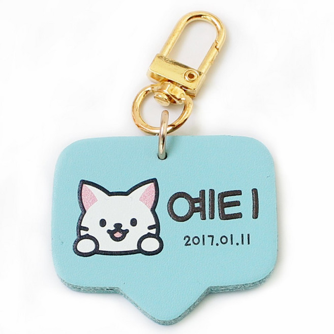 반려동물 고리형 인식표 강아지 외출용 이름표, 손글씨체, 오렌지, 1개