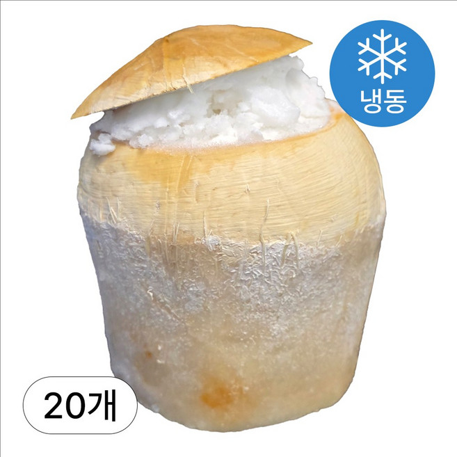 [인생건어물] 코코넛샤베트 20개, 170ml