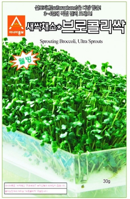 슬로시 새싹 씨앗 어린이집 유치원 식물 키우기 새싹씨, 1개