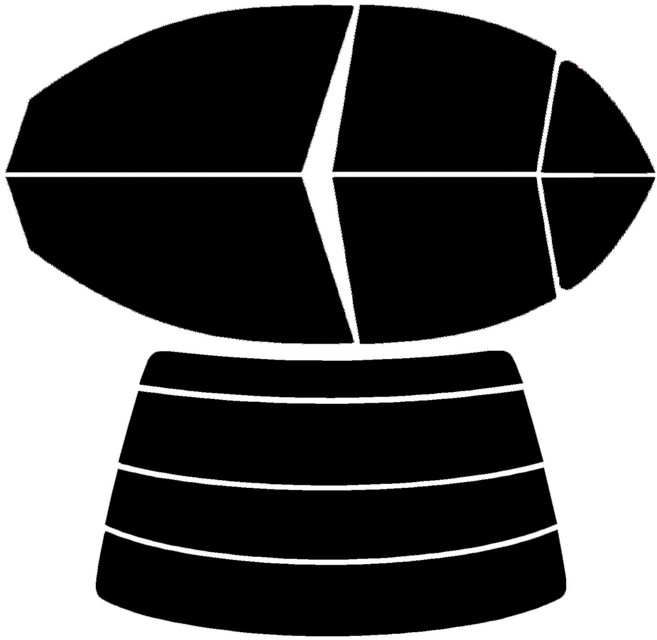 로톰 SM3 측후면 썬팅필름 DIY 셀프 열차단 썬팅지, SM3 1세대 (02-11), RTF-1S 15 (중간), 르노삼성