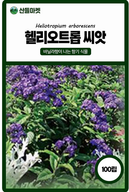 산들마켓 헬리오트롭 허브씨앗 100립 은은한 바닐라 향이 나는 보라꽃씨 종자, 1개