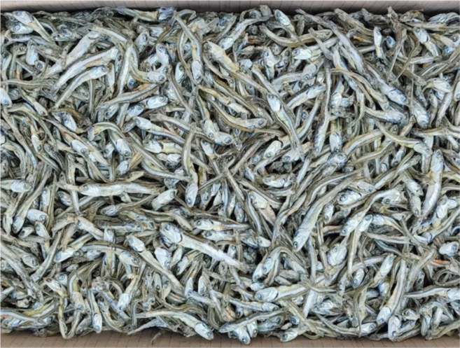 명식품본사 은빛멸치선물 고추장멸치 고바 1박스, 1개, 1.5kg