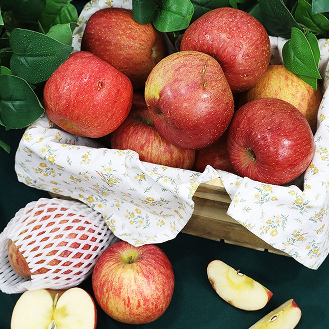 청송 안동 부사 사과 한박스 안동 꿀사과 햇사과 햇부사 사과 안동사과 청송사과, 1개, 5kg 랜덤 소과 못난이