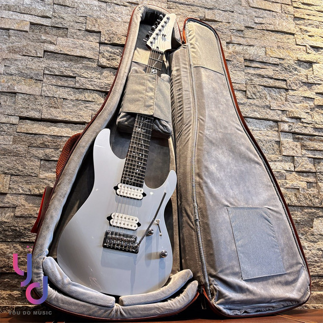 金川 Jinchuan B-2216 超厚沙發皮吉他琴袋, 1個, 電吉他專用 咖啡混白