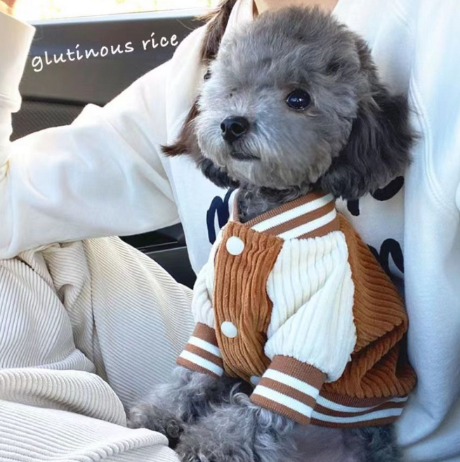 로엔드 강아지 야구점퍼, 1개, 카멜