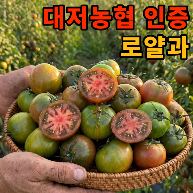 [한정기획특가] 재구매1위 산지직송 대저토마토 로얄과, 1박스, 1kg (S-3S)
