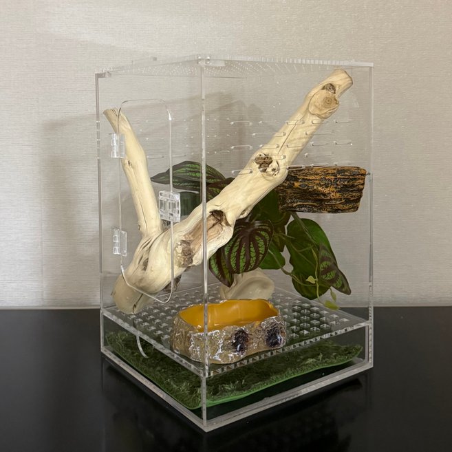 모다이 청소 쉬운 도마뱀 사육장 세로형 통구조 3면 개방 20X20X30cm, 1개, 투명