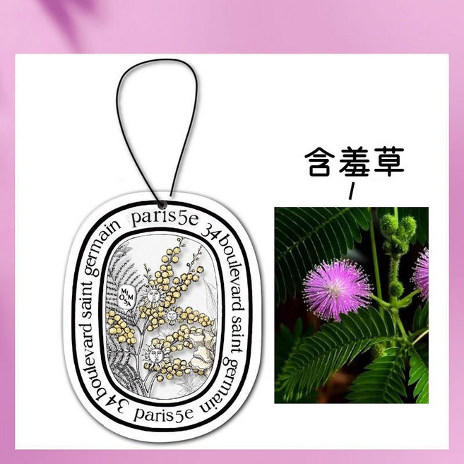 汽車香氛吊卡 擴香片 柑橘, 1個, 含羞草, 含羞草