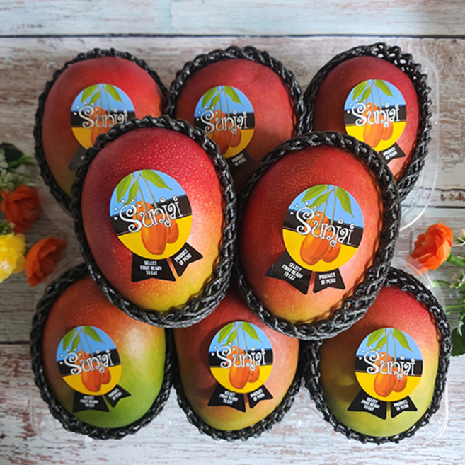 [망고성지] 항공직송 고당도 애플망고 선물세트 당도선별, 1박스, 항공직송 애플망고 2-3과 (1KG내외)