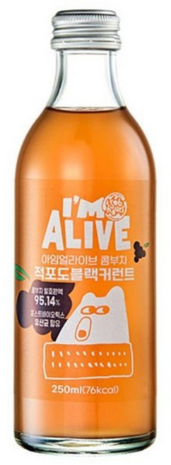 아임얼라이브 콤부차 적포도블랙커런트 250ml 프레시코, 없음