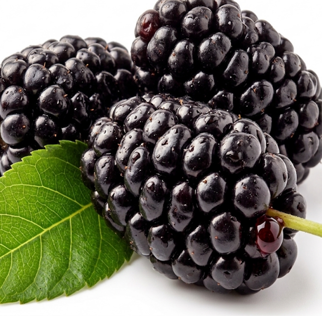 [눈피로줄이는] 안토시아닌 국내산 급냉 토종 오디, 1박스, 2kg