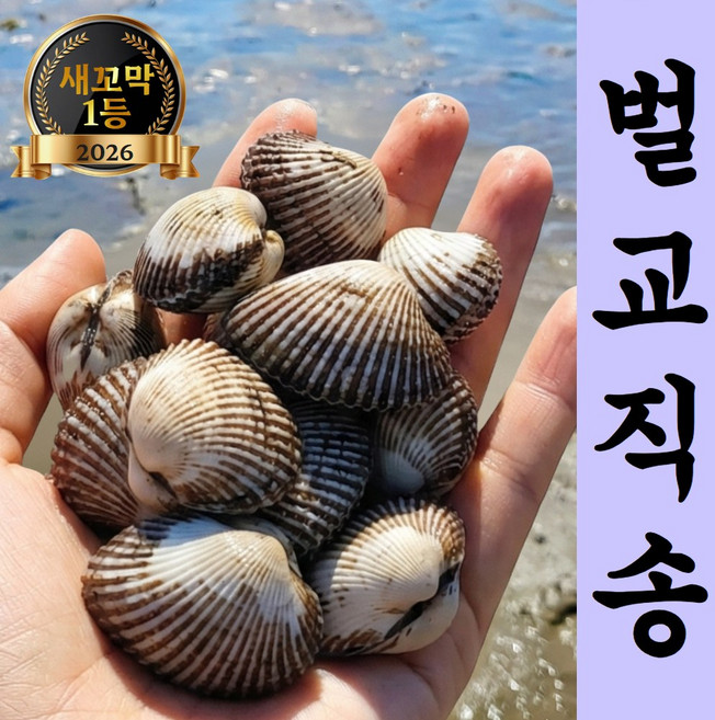 [새벽작업 당일발송] 재구매1위 벌교직송 새꼬막, 1세트, 3kg