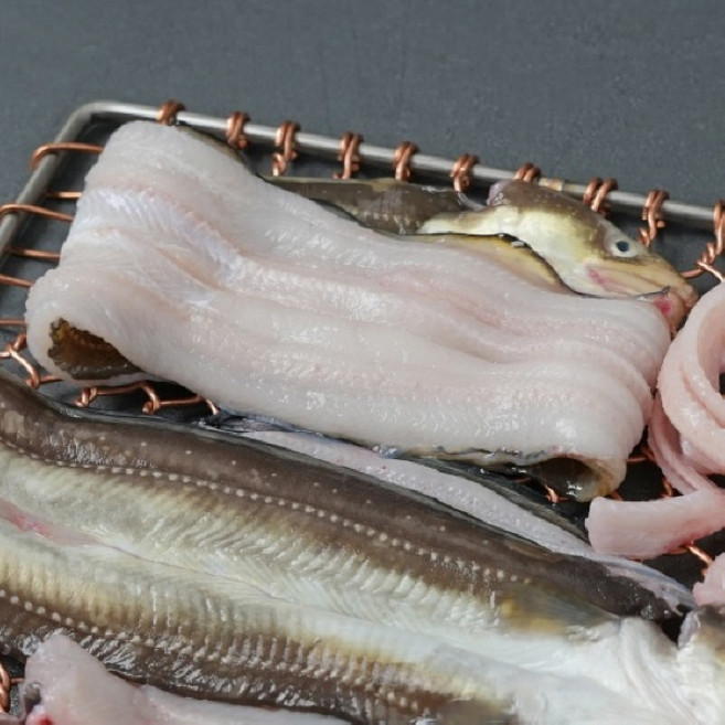 산지직송 전라도 소흑산 자연산 통통 손질 바다장어, 1개, 550g