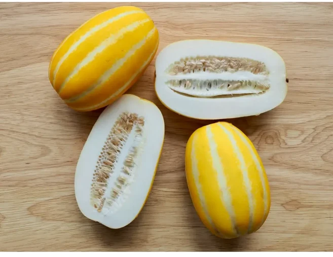 [초특가할인] 산지직송 고당도 성주참외 (가정용 실속형), 1박스, 10kg (대과)