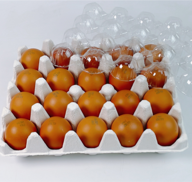 달걀 무항생제 대란 (난각번호4번), 1개, 60구