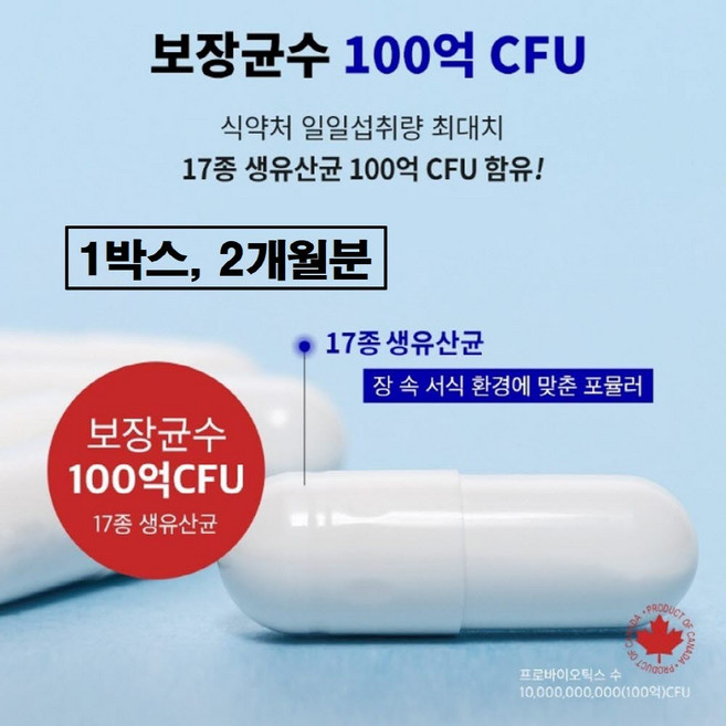 프로바이오틱스 100억 유산균 보장 멀티 아연 락토바실러스 람노서스 가세리 비피도박테리움 롱검 애시도필러스 플란타룸 복합물 캡슐 맥스 어린이 초등학생 온가족 여성 남자 이뮨 추천, 1박스, 60회분
