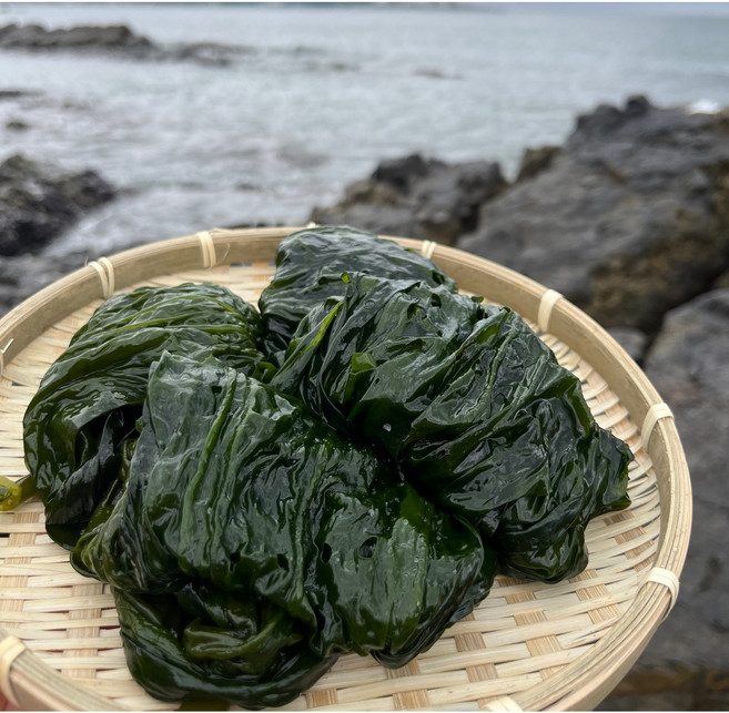 오씨엔수산 완도산 염장 쇠미역 곰피, 쇠미역(곰피), 1개, 3kg