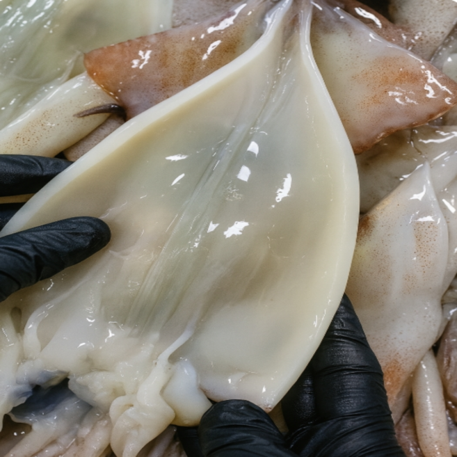 [정담은팜] 원양산 급냉 손질 오징어, 3세트, 2미 (400g~450g)