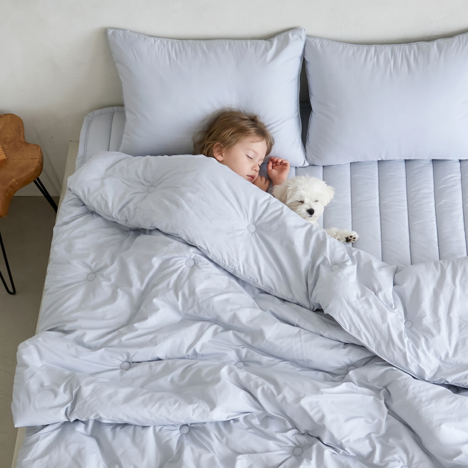 [독일 피부과학인증] Aller-X 더마 알러지케어 먼지없는 차렵 이불 간절기 가을 사계절 침구 세트