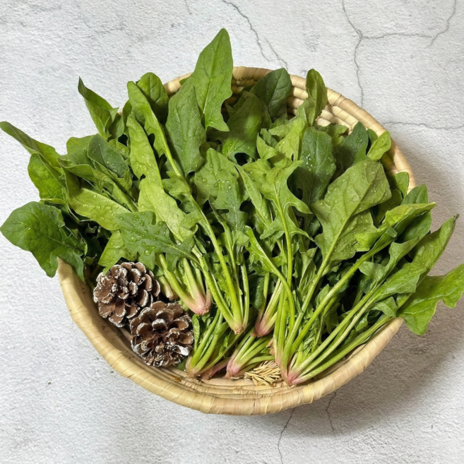 [산지직송] 여수 보물 섬초 특상품 특가할인판매, 1박스, 1kg