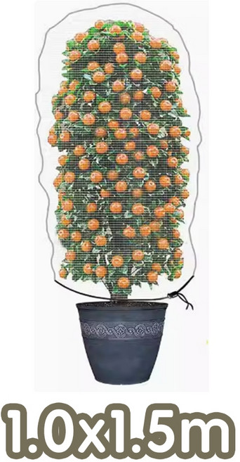 植物防蟲網罩 花果防鳥網