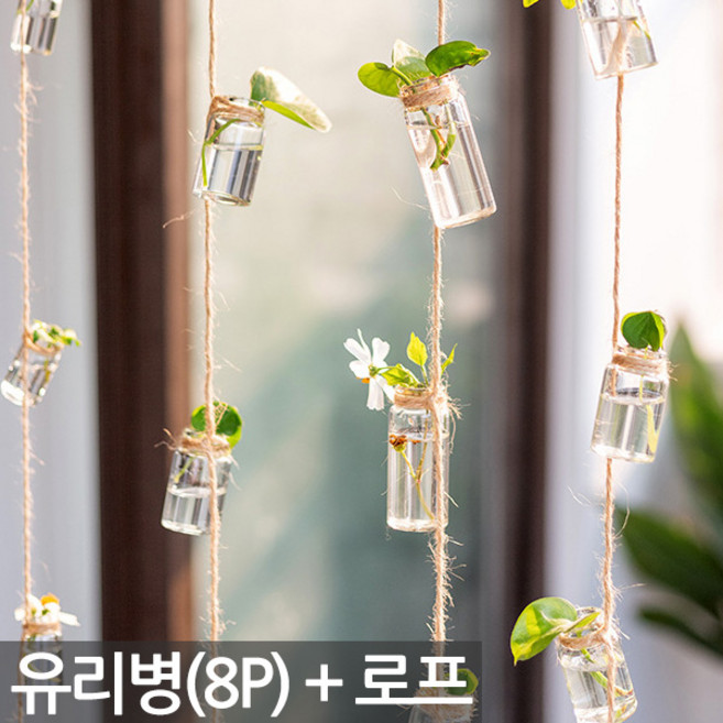 세인화분 미니 행잉보틀 유리 걸이 화병 8P 세트 - 행긴 화분 플랜트 수경 인테리어 식물 유리병 미니화분 홈카페 홈가드닝 매장 가게 사무실 거실, 2세트, 미니 보틀행잉8P