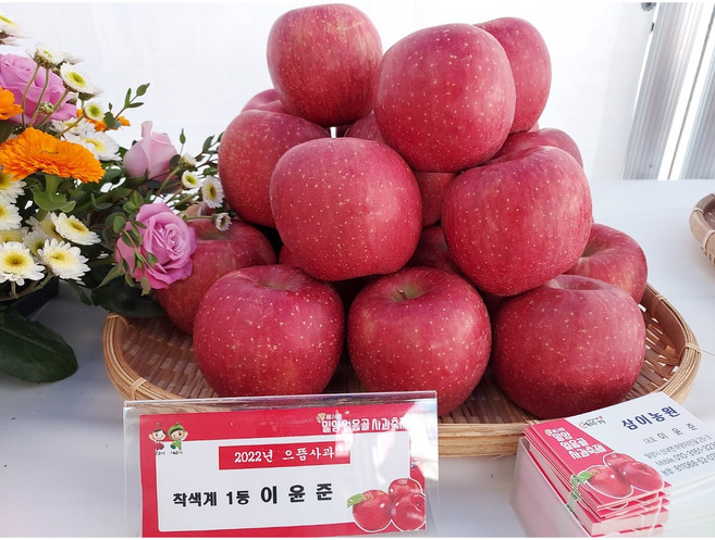5KG 삼이농원 밀양 얼음골 사과 (산지직송), 5KG20-21 (중소과), 1개