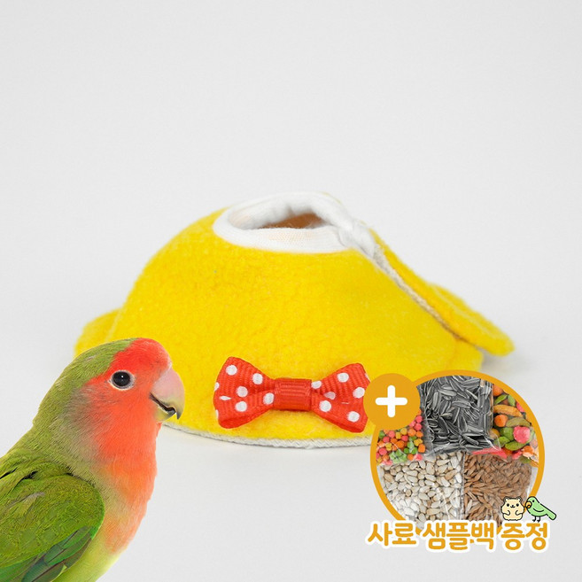 쁘띠 넥카라 M 앵무새 자해방지용 상처보호 앵무새옷