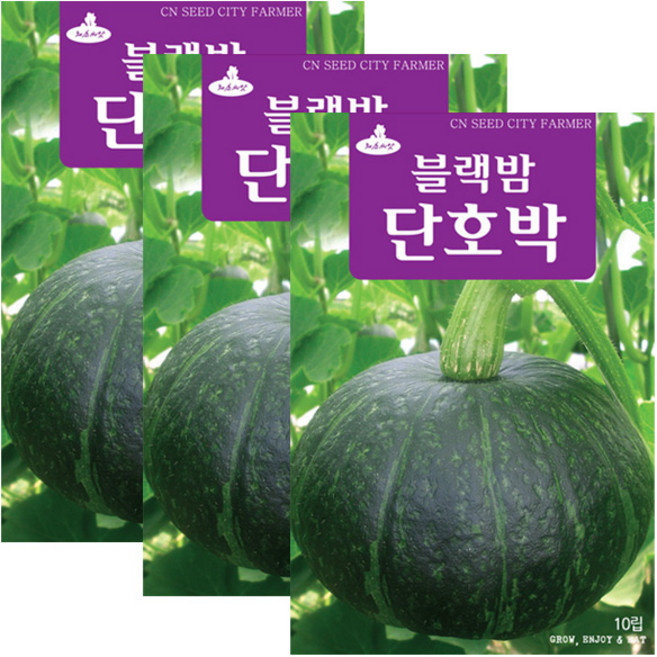 세인화분 블랙밤 단호박 10립 - 호박 씨 씨앗, 3개