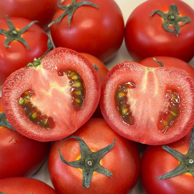 국내산 완숙토마토 대과 1.5kg, 1개