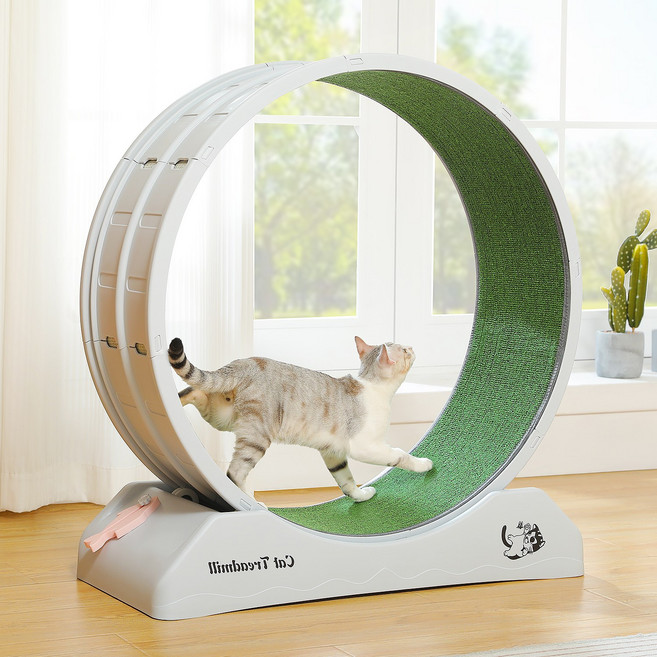 PAWZ Road 실내사용 ABS 저소음 캣휠, 1개, 그레이