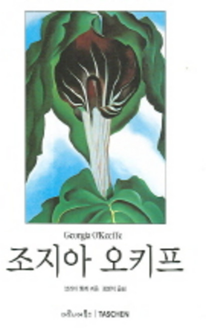 조지아 오키프, 마로니에북스, 브리타 벵케 저/강병직 역