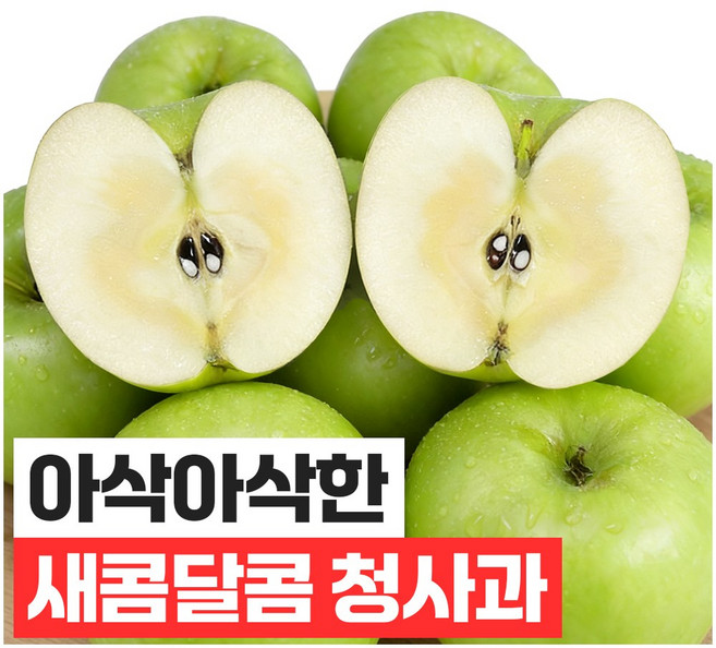 푸드지 산지직송 고당도 초록사과, 1개, 대과 5kg