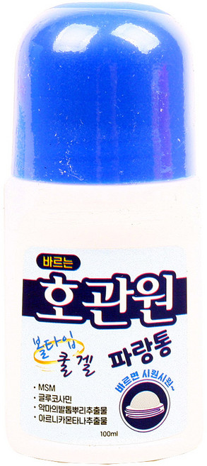 바르는 호관원 볼타입 쿨 100mL 물파스 스포츠겔, 1개