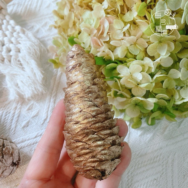 無名精選 雲山松果 DIY裝飾果實 拍照道具 花圈佈置材料, 金色 雲山10-12公分（1顆）