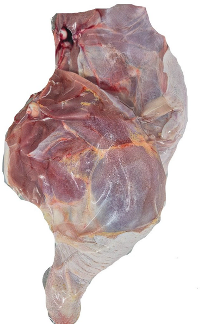 (한마음 미트) 국내산 통닭다리 1KG 내외 (냉동), 1개, 2kg