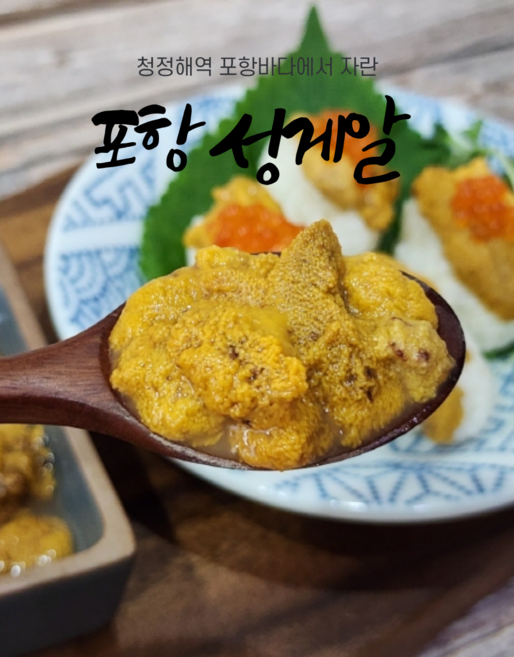 [당일조업]제철맞은 포항 성게알(우니) 100g, 2개