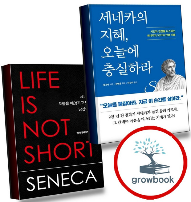 9위 - 세네카의 지혜 오늘에 충실하라 + 세네카 오늘을 빼앗기고 있는 당신에게 (전2권) 세트 (GROW BOOK 
