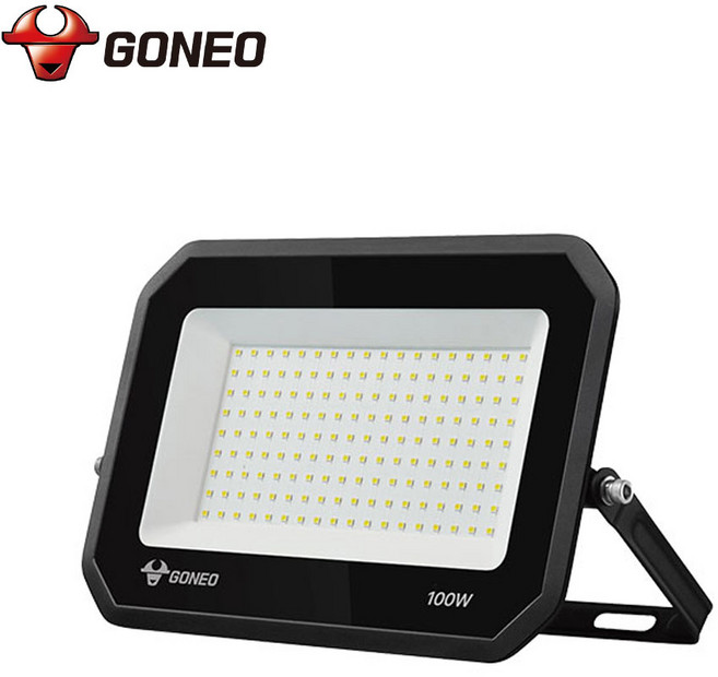 고네오 LED 투광등 100W 블랙바디 주광색, 1개