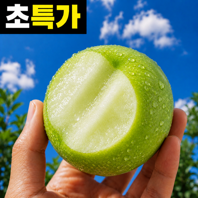 [초특가] 아삭달콤한 청사과 썸머킹 아오리사과, 1박스, 3kg소과